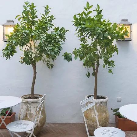 Hotel Casa Shelly Hospederia