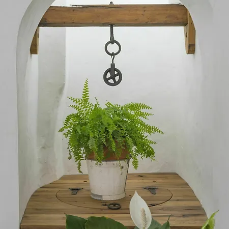 Casa Shelly Hospederia Hotel Vejer de la Frontera